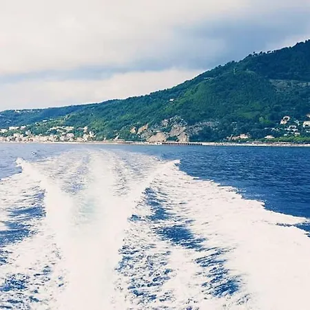 Salvia E Rosmarino - In Liguria