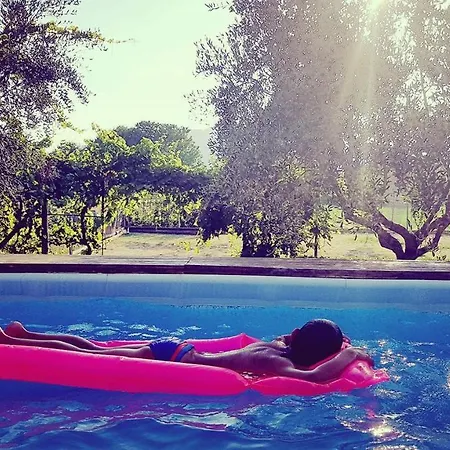 Гостевой дом Salvia E Rosmarino - In Liguria Вилланова-д'Альбенга