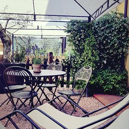 Salvia E Rosmarino - In Liguria Maison d'hôtes
