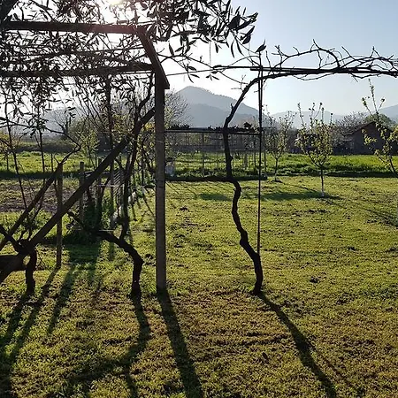 Гостевой дом Salvia E Rosmarino - In Liguria Вилланова-д'Альбенга