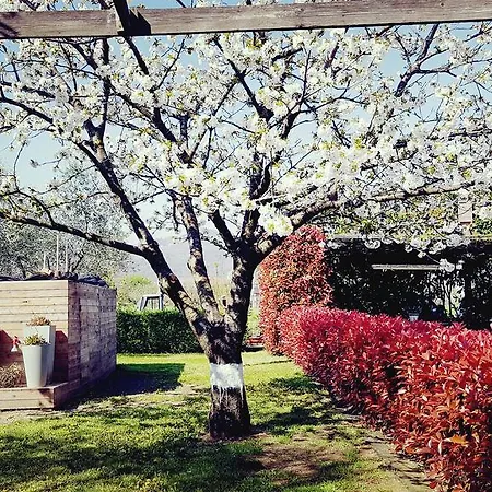 Salvia E Rosmarino - In Liguria Maison d'hôtes *