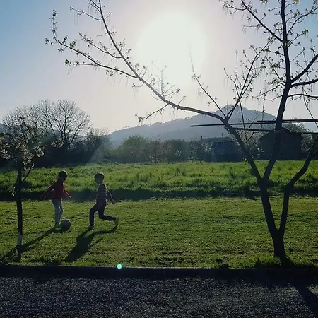 Salvia E Rosmarino - In Liguria Вилланова-д'Альбенга