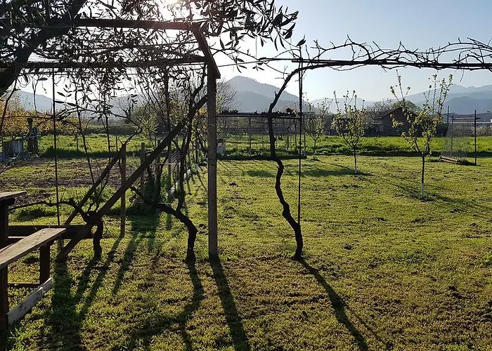 Maison d'hôtes Salvia E Rosmarino - In Liguria Villanova d'Albenga