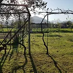 Πανσιόν Salvia E Rosmarino - In Liguria Villanova d'Albenga