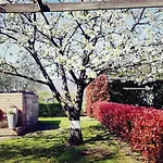 Salvia E Rosmarino - In Liguria Πανσιόν 3*