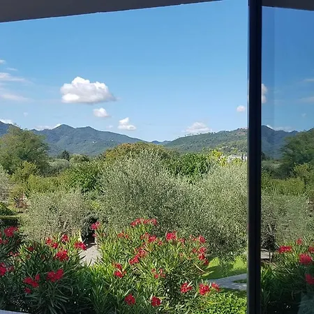 Salvia E Rosmarino - In Liguria بيت ضيافة فيلانويفا دي ألبينجا