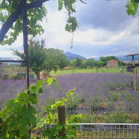 Salvia E Rosmarino - In Liguria 3* فيلانويفا دي ألبينجا