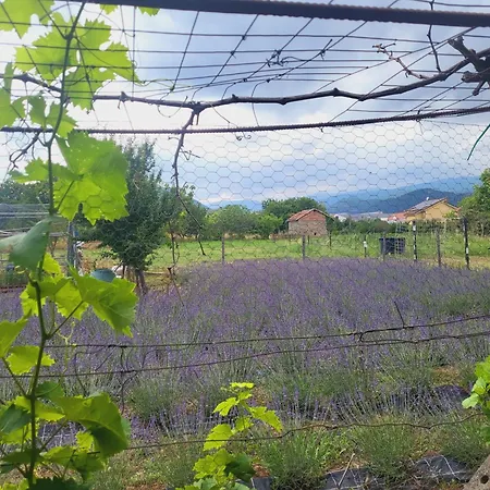 Salvia E Rosmarino - In Liguria بيت ضيافة