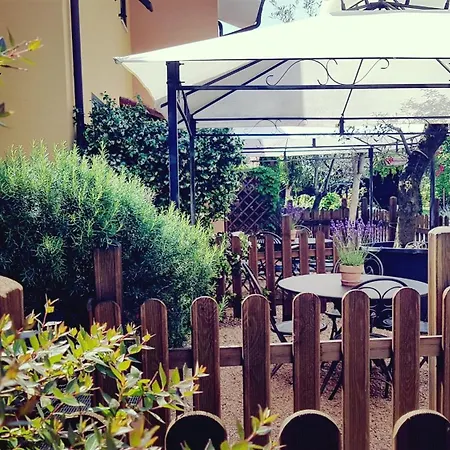 Salvia E Rosmarino - In Liguria 3*