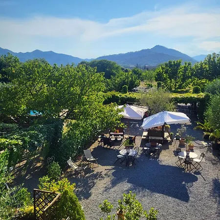 Salvia E Rosmarino - In Liguria فيلانويفا دي ألبينجا