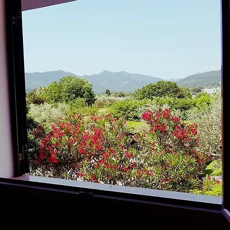 Salvia E Rosmarino - In Liguria فيلانويفا دي ألبينجا