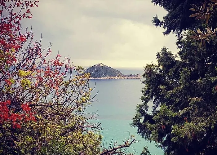 Salvia E Rosmarino - In Liguria Villanova d'Albenga