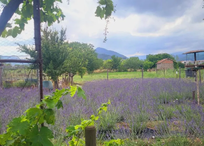 Salvia E Rosmarino - In Liguria 3* Villanova d'Albenga