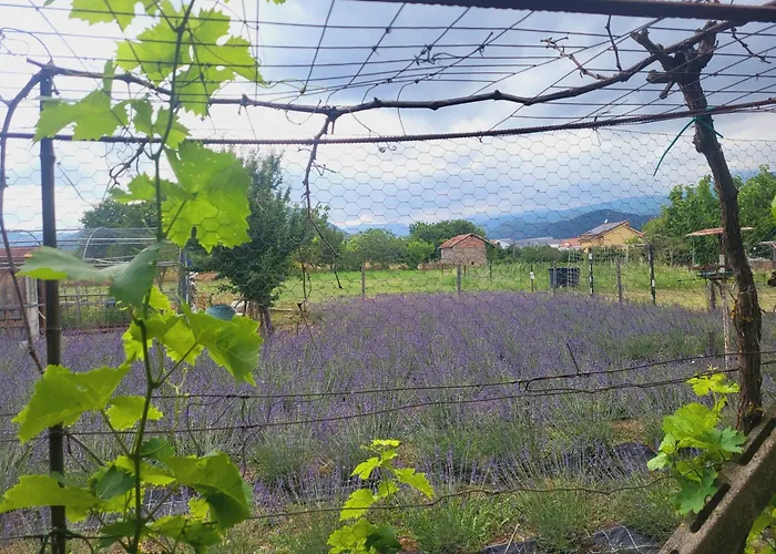 Salvia E Rosmarino - In Liguria Pensión