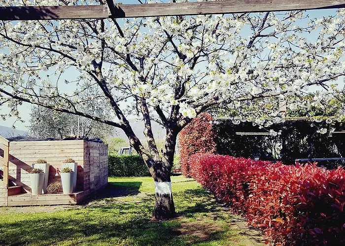 Salvia E Rosmarino - In Liguria Pensión 3*