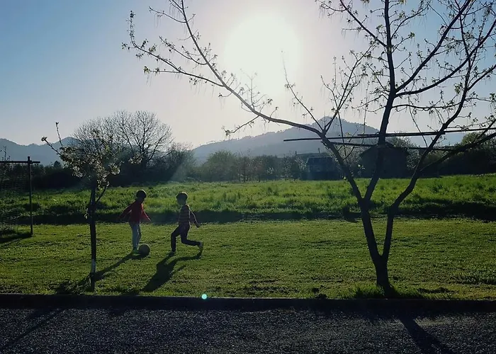 Salvia E Rosmarino - In Liguria Villanova d'Albenga